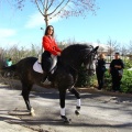 San Antonio Abad