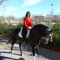 San Antonio Abad