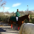 San Antonio Abad