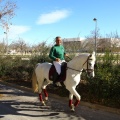 San Antonio Abad