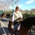 San Antonio Abad