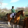 San Antonio Abad