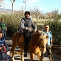 San Antonio Abad