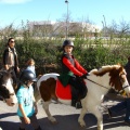 San Antonio Abad