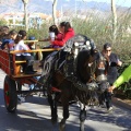 San Antonio Abad