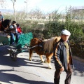 San Antonio Abad
