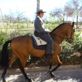 San Antonio Abad