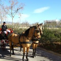 San Antonio Abad