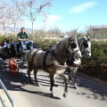 San Antonio Abad