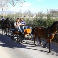 San Antonio Abad