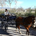 San Antonio Abad