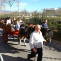 San Antonio Abad