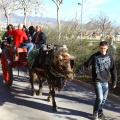 San Antonio Abad