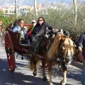 San Antonio Abad