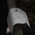 Chimo Dolz