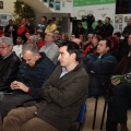 Castellón, actividades deportivas