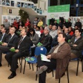 Castellón, actividades deportivas