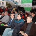 Castellón, actividades deportivas