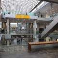 Cevisama