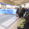 Castellón, 2014