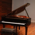 Actuación del pianista Goran Filipec