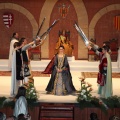 Na Violant d´Hongria 2014