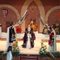 Na Violant d´Hongria 2014