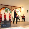 Castellón, 2014, Día de Andalucía