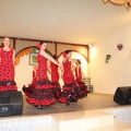 Castellón, 2014, Día de Andalucía
