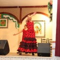Castellón, 2014, Día de Andalucía