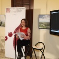 Castellón, 2014