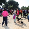 Gran Premio PICEMAR