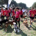 Gran Premio PICEMAR