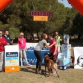 Gran Premio PICEMAR