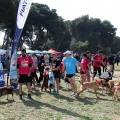 Gran Premio PICEMAR