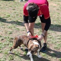Gran Premio PICEMAR