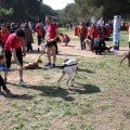Gran Premio PICEMAR