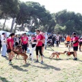 Gran Premio PICEMAR
