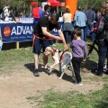 Gran Premio PICEMAR