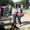 Gran Premio PICEMAR