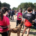 Gran Premio PICEMAR