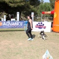 Gran Premio PICEMAR