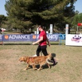 Gran Premio PICEMAR