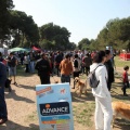 Gran Premio PICEMAR