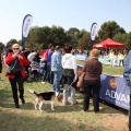 Gran Premio PICEMAR