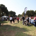 Gran Premio PICEMAR