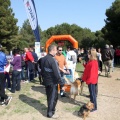 Gran Premio PICEMAR