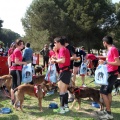 Gran Premio PICEMAR
