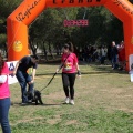Gran Premio PICEMAR