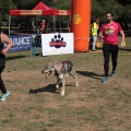 Gran Premio PICEMAR
